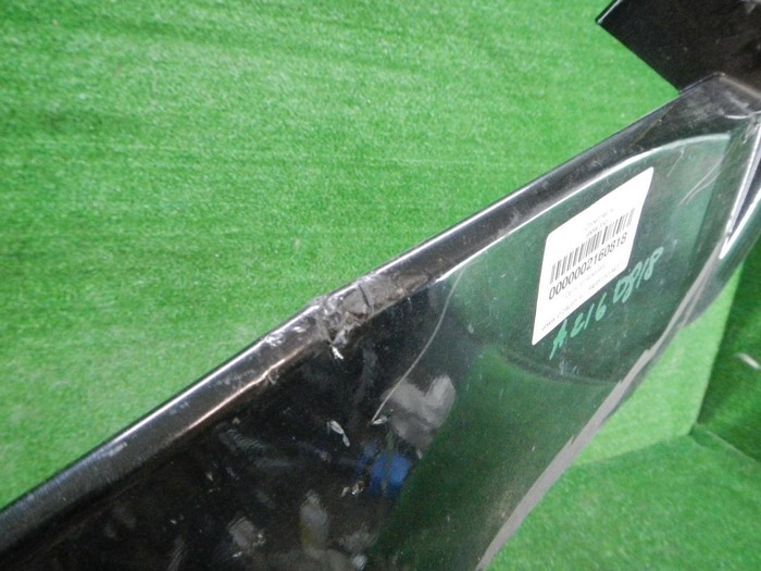 DSCN9579.JPG