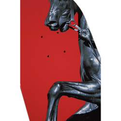 THE HORSE TAMERS TRIPTYCH (SET)
