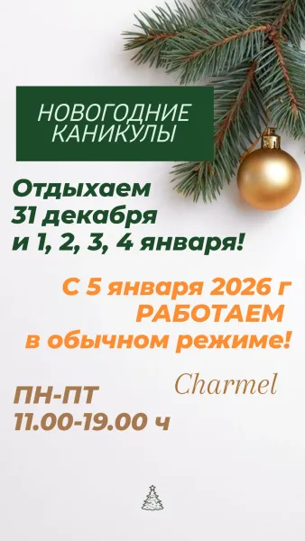 НОВОГОДНИЕ КАНИКУЛЫ НОВОГОДНИЕ КАНИКУЛЫ
