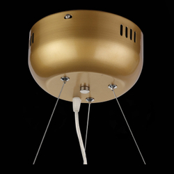 Люстра подвесная ST Luce Riccardo SL411.233.45