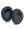 Dan Clark Audio Noire X - 2m 6.3mm and 3.5mm cable