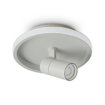 Потолочный светильник Freya FR6040CL-L14W