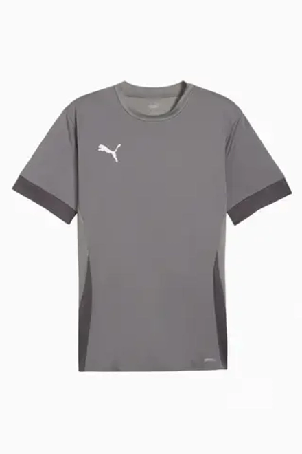 Футболка Puma teamGOAL Matchday - серый