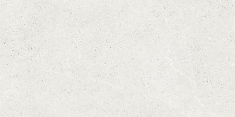 Creatile Stone And Marble Титан Белый 60x120