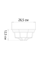 Уличный потолочный светильник Arte Lamp PEGASUS A3100PL-1BK, 1хE27