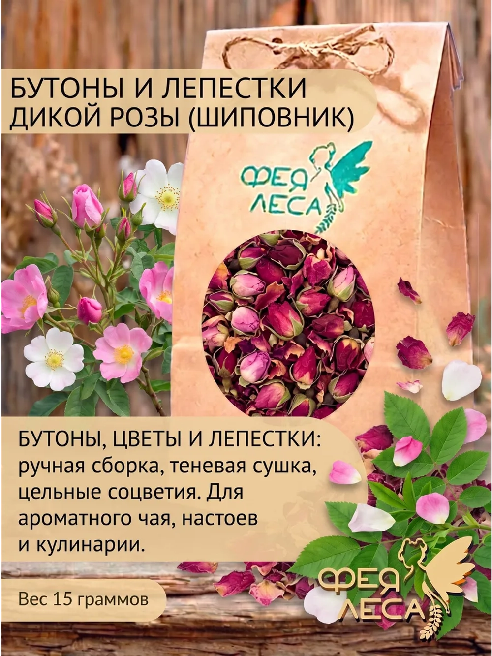Роза дикая (шиповник) для здоровья и творчества