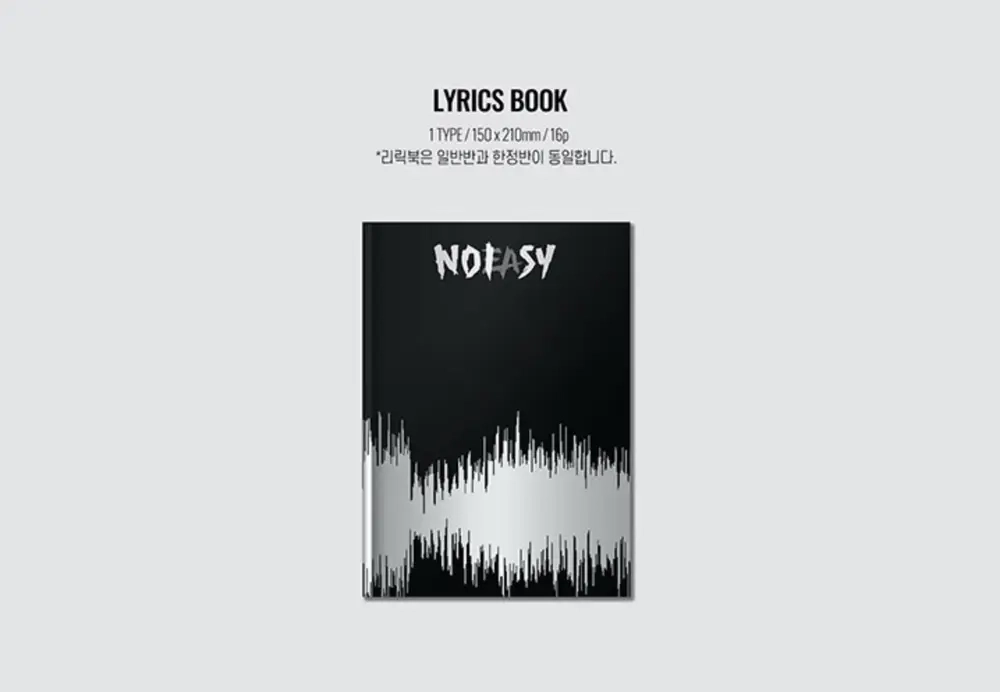 Альбом STRAY KIDS - NOEASY