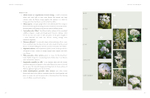 In Nature's Slipstream: How to Turn Your Garden into a Haven for Nature