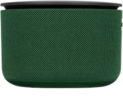 Умная колонка Yandex Станция Мини 3 Про Алиса зеленый 18W 1.0 BT/Wi-Fi (YNDX-00059GRN)