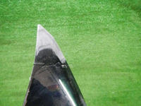 DSCN0199.jpg