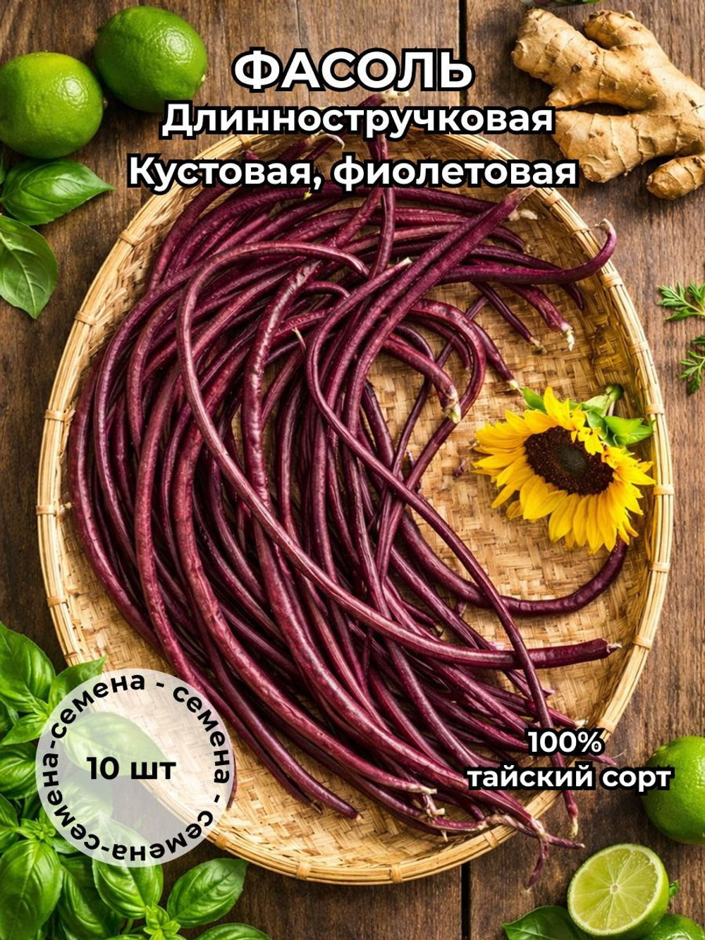 Фасоль длинностручковая, кустовая, фиолетовая Таиланд семена 10 штук