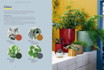 The Plant Society Design Handbook: A plant stylist’s guide to creating beautiful living spaces
