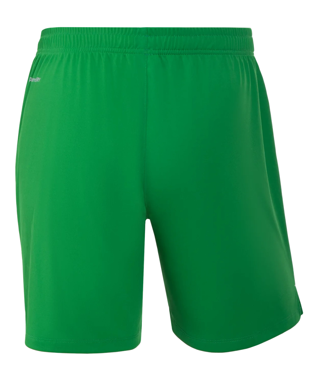 Шорты вратарские JOGEL NATIONAL PerFormDRY GK Shorts, зеленый