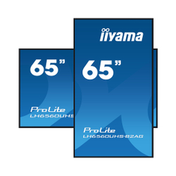 Монитор iiyama PROLITE PL6560U LH6560UHS-B2AG 65"