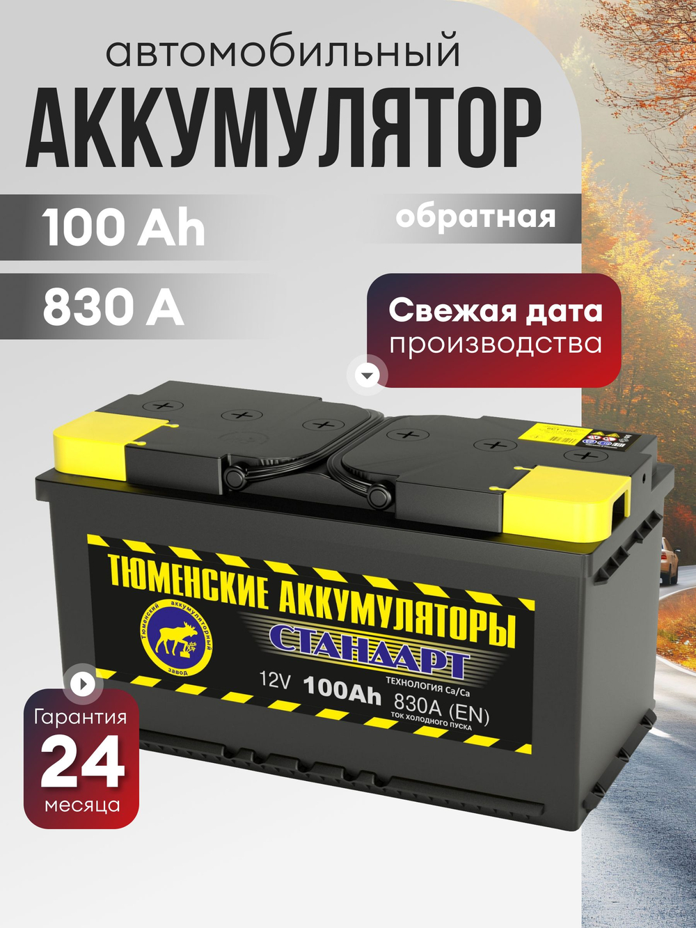 ТЮМЕНЬ Стандарт 100Ah R+