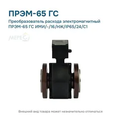 Преобразователь расхода электромагнитный ПРЭМ-65 ГС ИМИ/-/16/НЖ/IP65/24/C1
