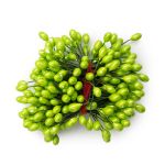 Тычинки для искусственных цветов 0,5х6см (вес 50гр ±3 гр) (4 салатовый)
