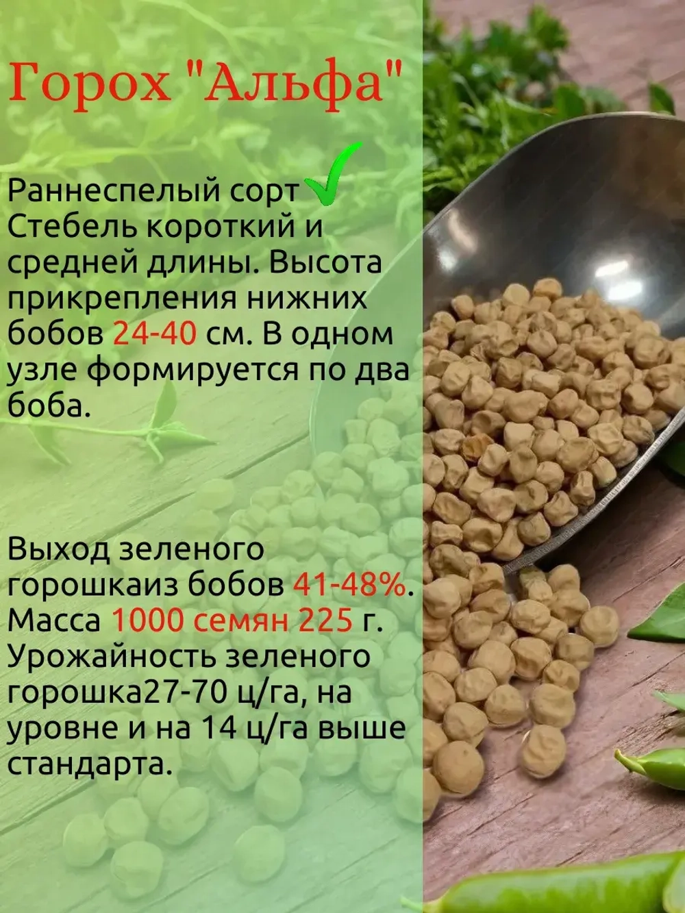 Семена Горох 200 грамм