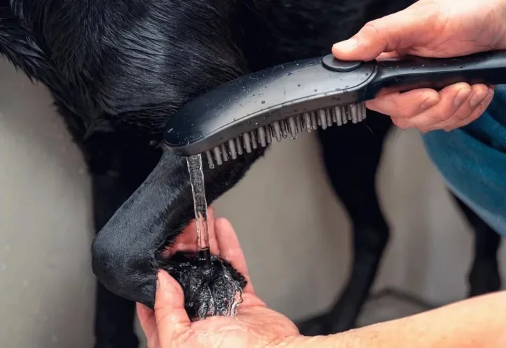 Ручной душ для собак DogShower 150, 3jet, Hansgrohe, матовый черный
