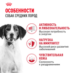Royal Canin Medium Adult Медиум Эдалт Корм сухой для взрослых собак средних размеров от 1 года до 7 лет 3кг