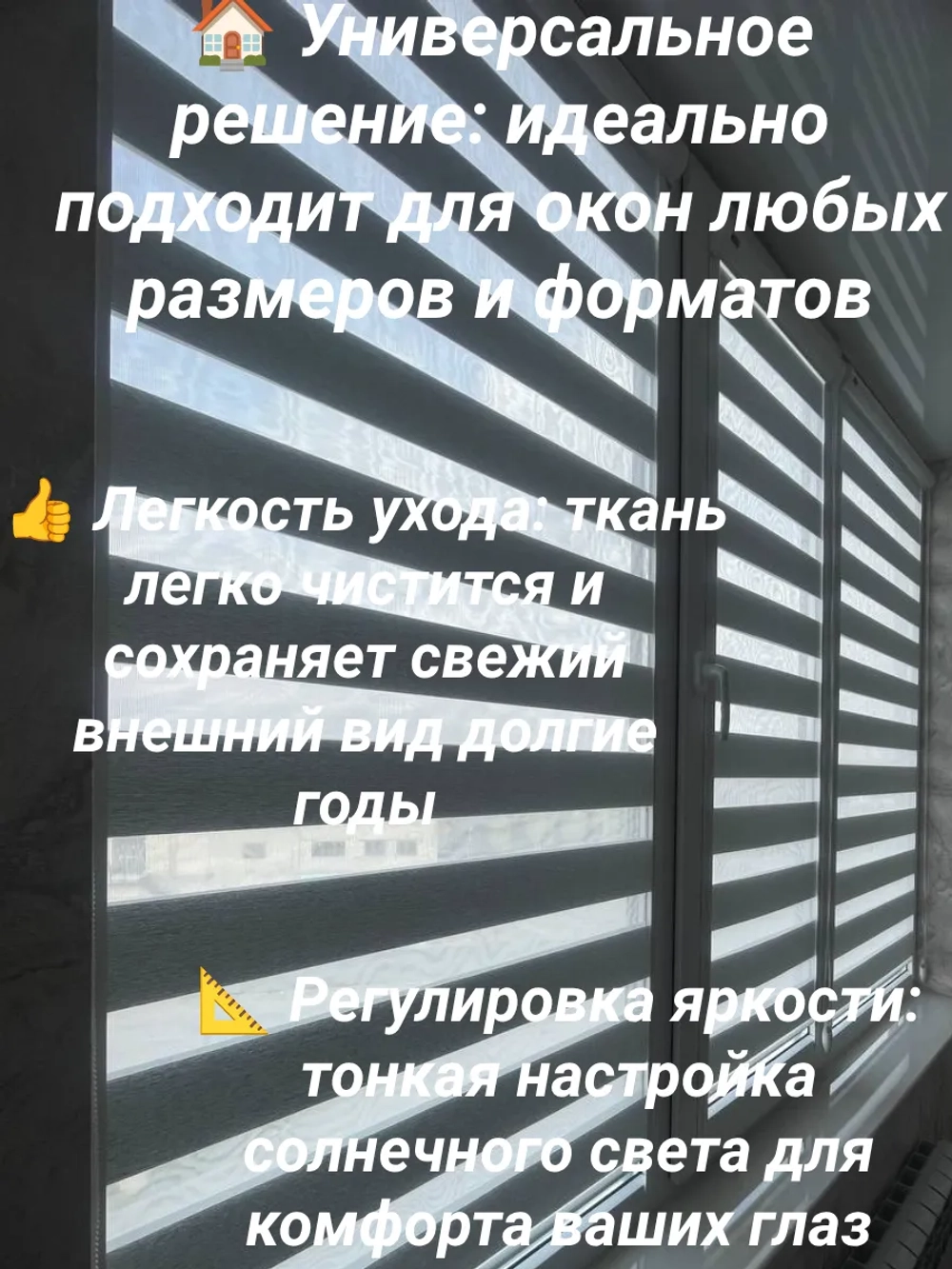 Рулонные шторы День-Ночь 60х90 см