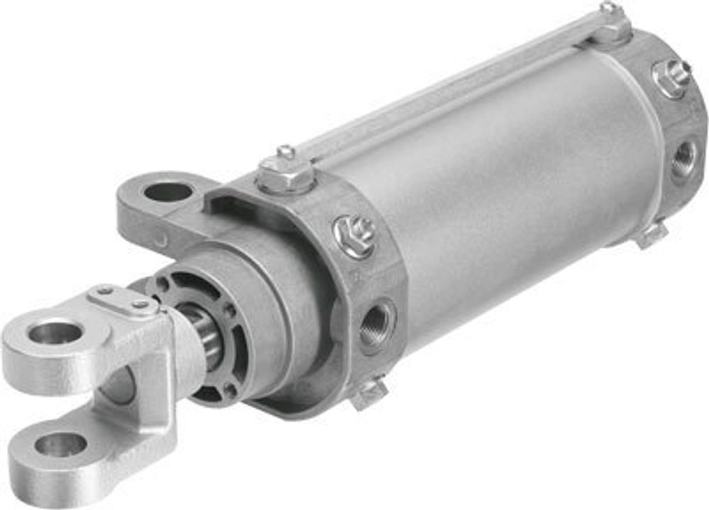 DW-80-50-Y-A-G Цилиндр на шарнирах