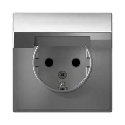 Розетка с крышкой Systeme Electric ArtGallery Алюминий GAL000346