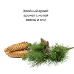 Сосна и ель, кубики восковые для ароматизации, 10 штук