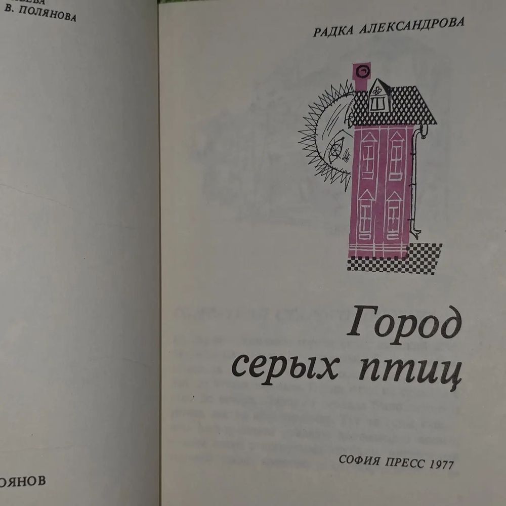 Город серых птиц. Александрова Радка
