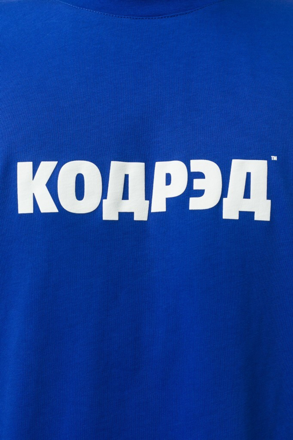 Футболка CODERED Regular Лого 20 TM Василёк