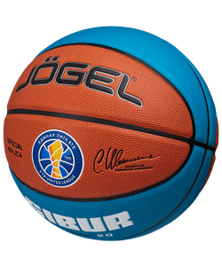Мяч баскетбольный Pro Training ECOBALL 2.0 Replica №7