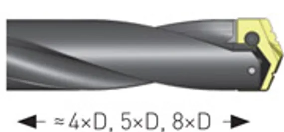 Корпус сверла со сменными пластинами Karnasch 9,5-11,0×60,3 мм, Weldon, DIN 1835-B, арт. 22.1010.00603.0095
