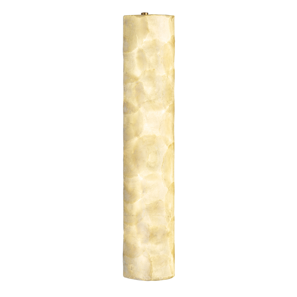 Настенный светодиодный светильник Odeon Light SEASHELL 7199/10WL