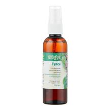 Aasha Herbals Гидролат Тулси 100 мл