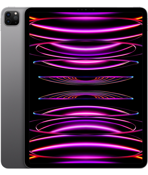 Apple iPad Pro 11" (2022) 256GB Wi-Fi + Cellular Space Gray