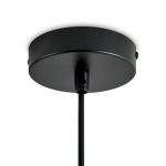 Подвесной светильник Alzare FR5595PL-01B3, E27х1. TM Maytoni