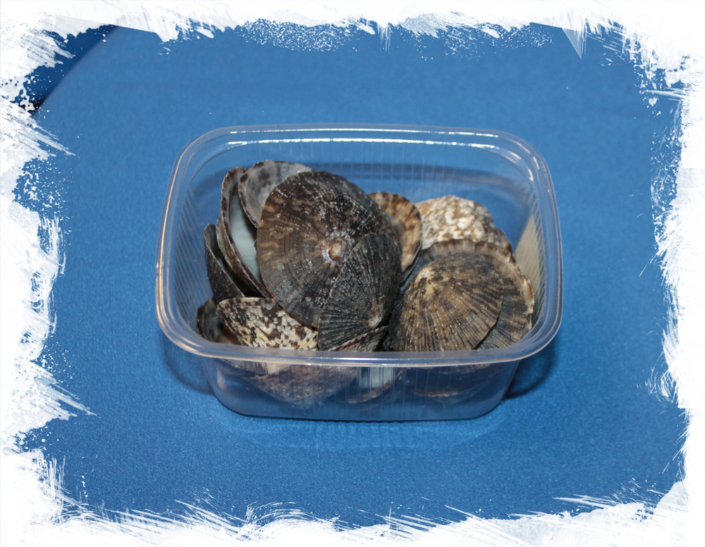 Ракушки Целлана, 3-5см, 100гр, 20шт