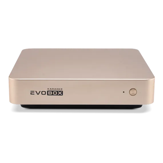 EVOBOX Gold - караоке-система для дома