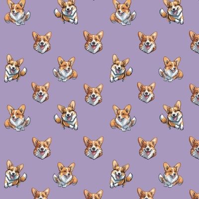 Корги №9.