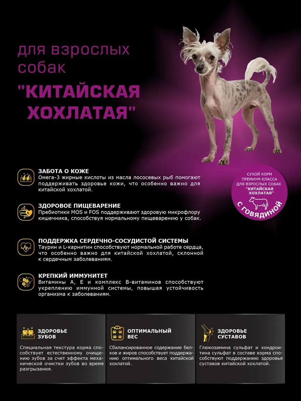 Корм сухой для взрослых собак породы Китайская хохлатая, с говядиной, 2,5 кг, QUATTRO