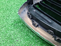 Решетка радиатора левая BMW X3 G01 X4 G02 (17-21)