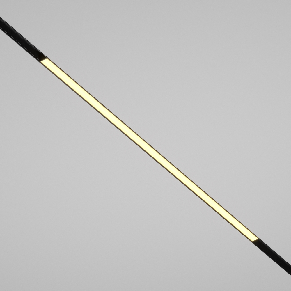 Магнитный трековый светильник Maytoni Basis TR030-2-30W2.7K-B