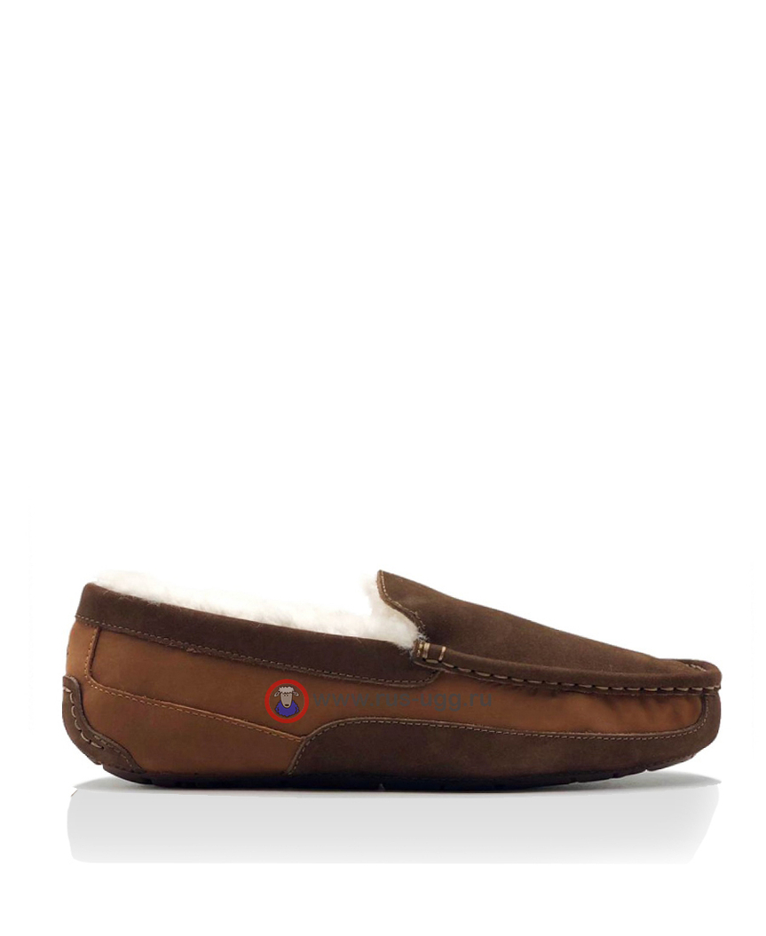 ASCOT MENS cognac