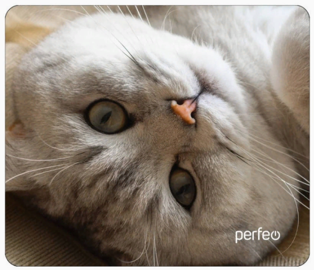 Perfeo Коврик для компьютерной мыши "Cat", Рис.13 (240*200*2 мм), ткань+резиновое основание