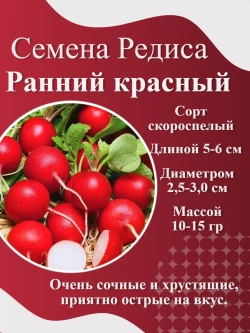 Семена Редиса