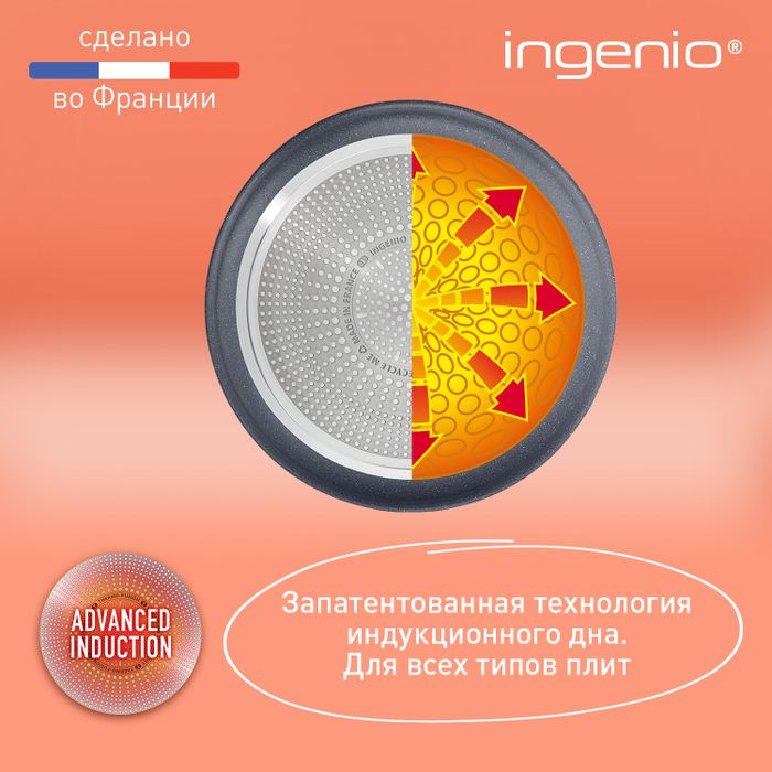Сковорода Tefal Ingenio Natural Force 24 см L3960402