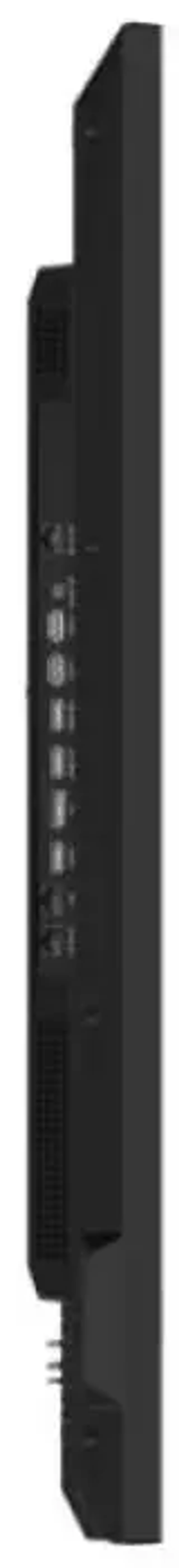 Панель Hisense 55DM66D