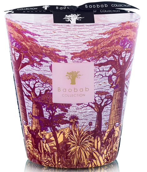Massasso, свеча MAX 16 Sacred Trees collection, Baobab Collection