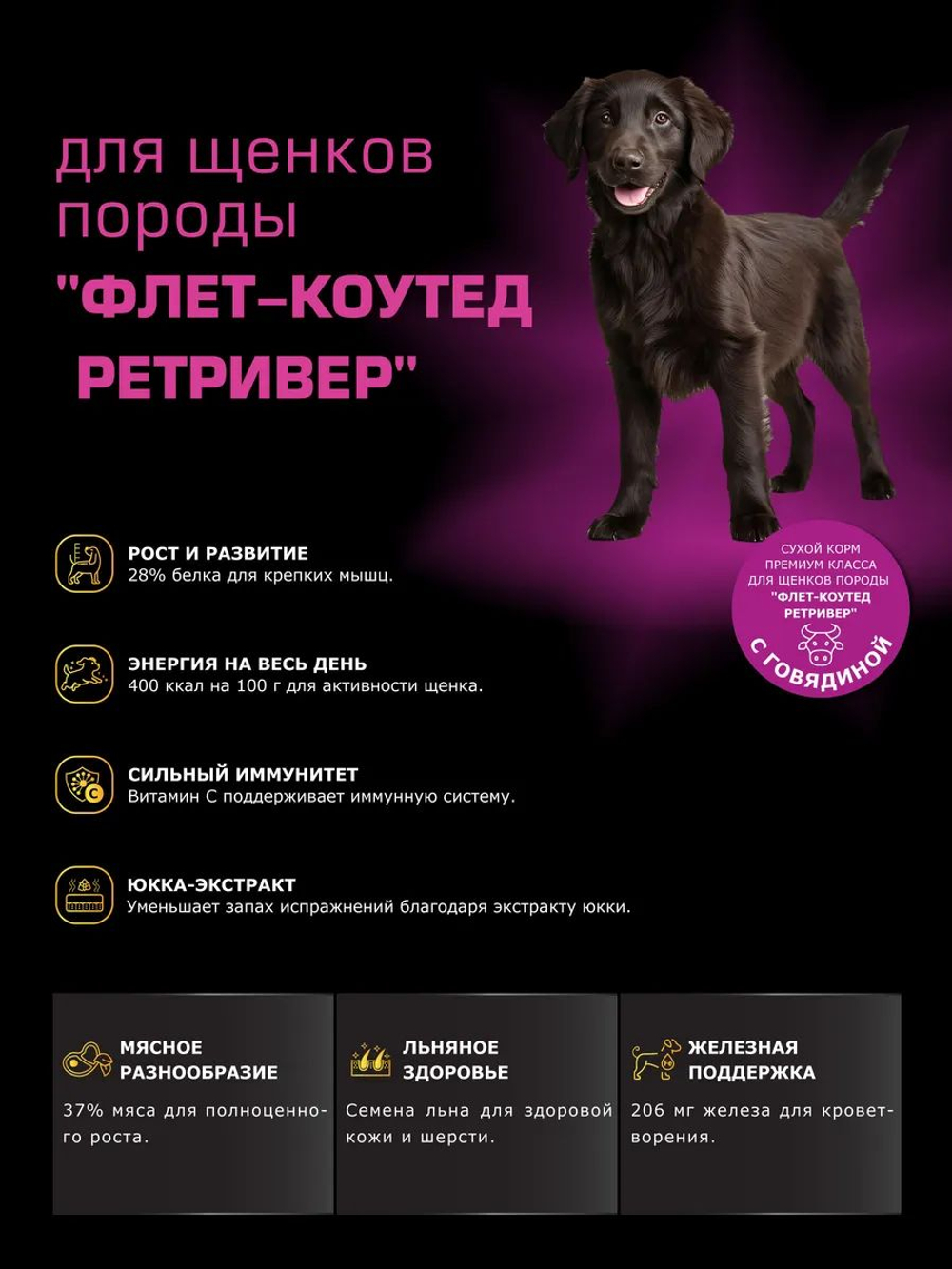 Корм сухой для щенков породы Флет-коутед ретривер, с говядиной, 12 кг, QUATTRO