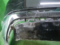 DSCN8729.JPG